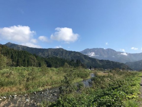 八海山しぼりて原酒 越後で候（青ラベル）瓶詰め