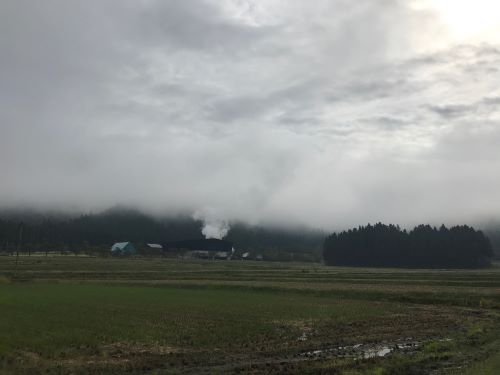 八海山しぼりて原酒 越後で候（青ラベル）瓶詰め