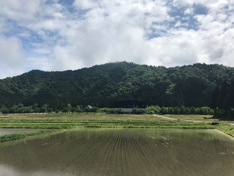 夏季限定「特別純米原酒」きょう瓶詰めしております