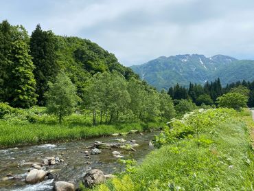 夏季限定「特別純米原酒」きょう瓶詰めしております