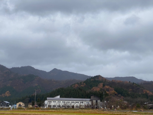 純米大吟醸 八海山しぼりたて原酒 越後で候 瓶詰め