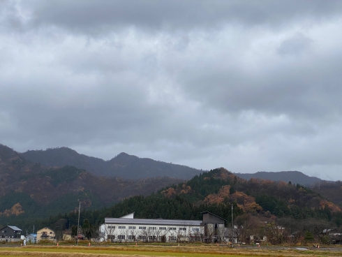 純米大吟醸 八海山しぼりたて原酒 越後で候 瓶詰め