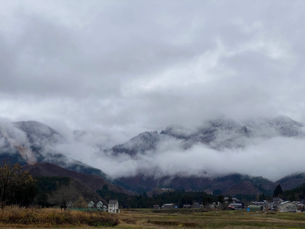 純米大吟醸 八海山しぼりたて原酒 越後で候 瓶詰め