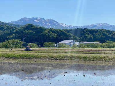 夏季限定「特別純米原酒」きょう瓶詰めしております