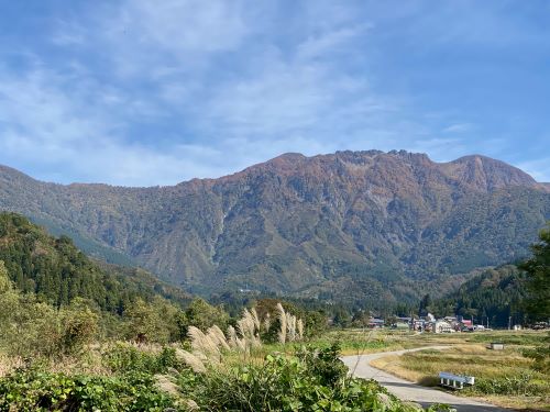 八海山しぼりて原酒 越後で候（青ラベル）瓶詰め