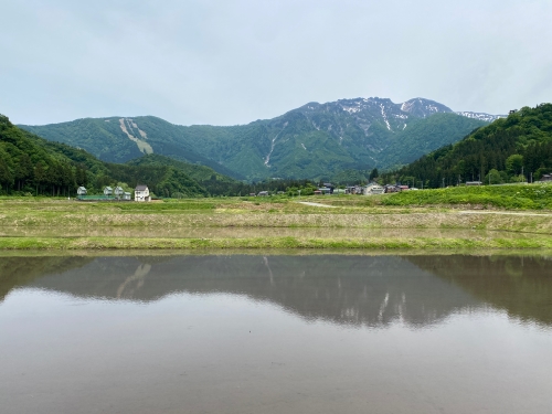 夏季限定「特別純米原酒 八海山」きょう瓶詰めしております