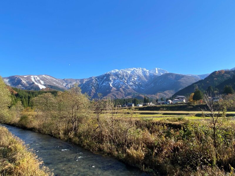 純米大吟醸 八海山 しぼりたて原酒 越後で候　今年も出荷です